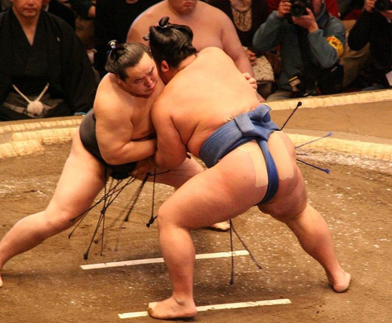 Attend a Sumo Wrestling Match, image 1 of 1