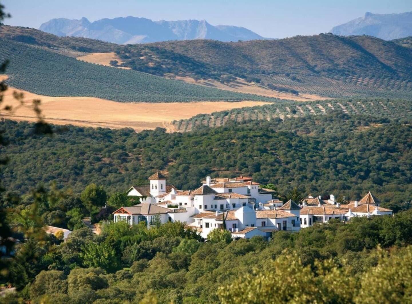 La Bobadilla Granada, image 1 of 1