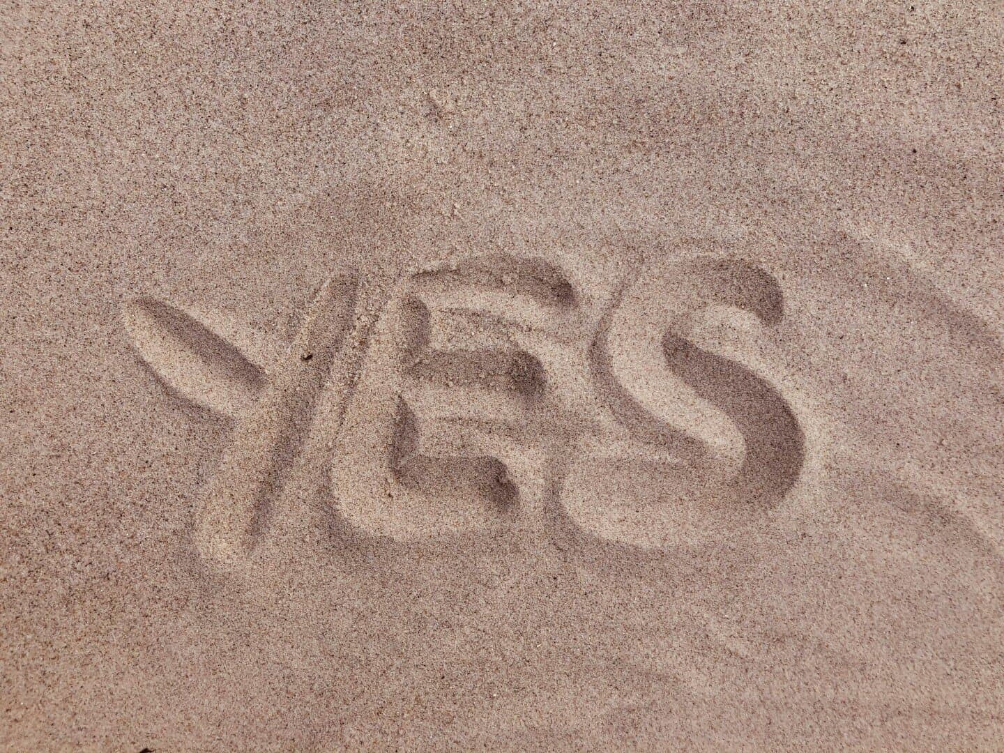 YES, image 1 of 1