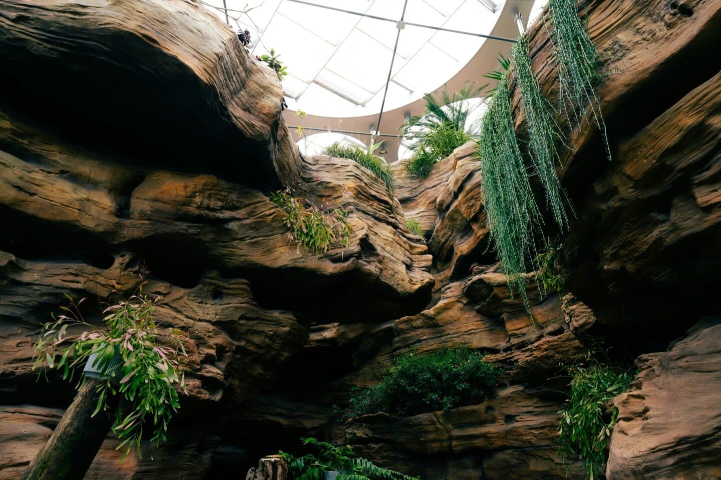Rio Scenarium, image 1 of 1