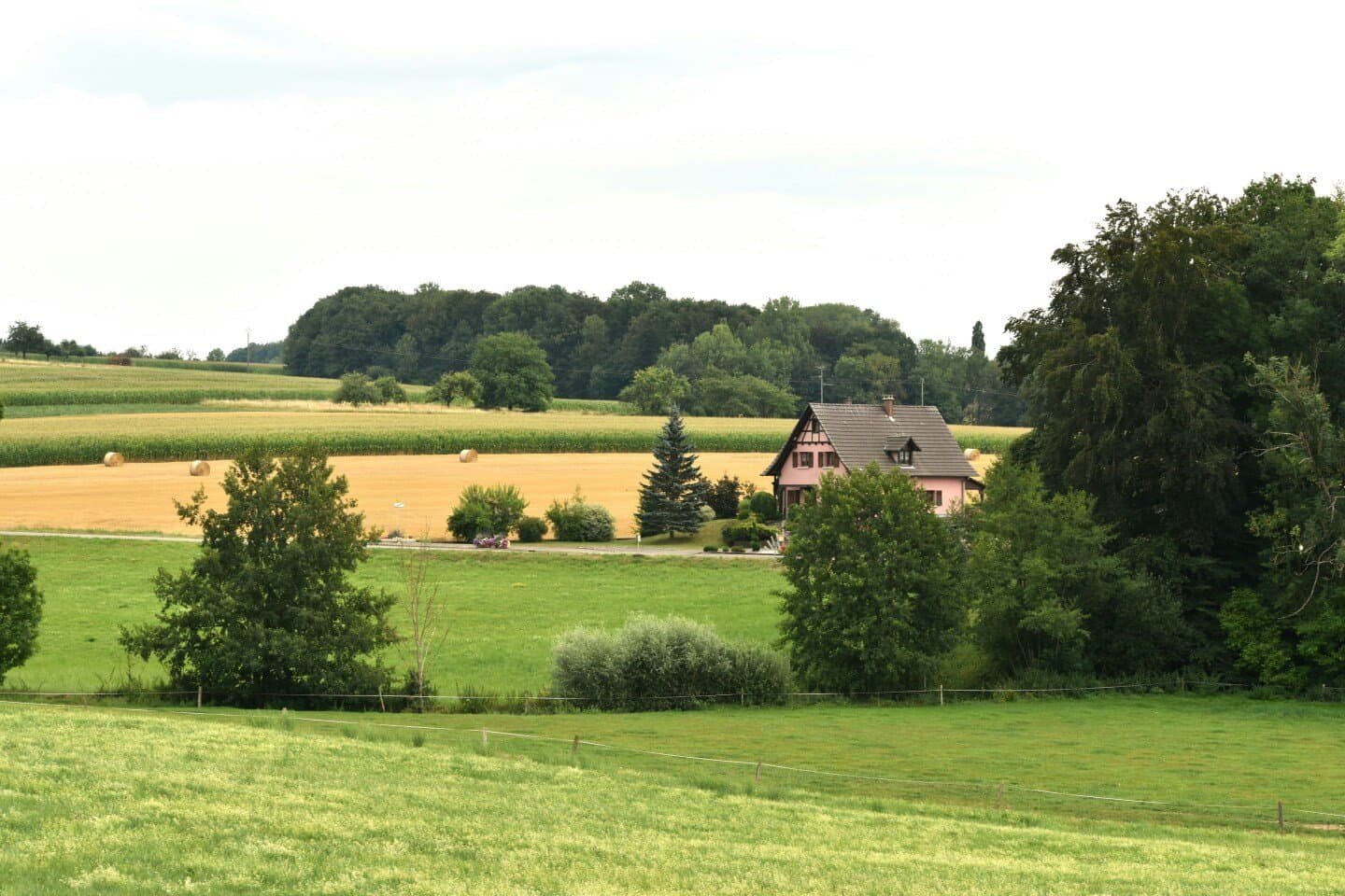 Vinzenzmurr Leberkäs, image 1 of 1