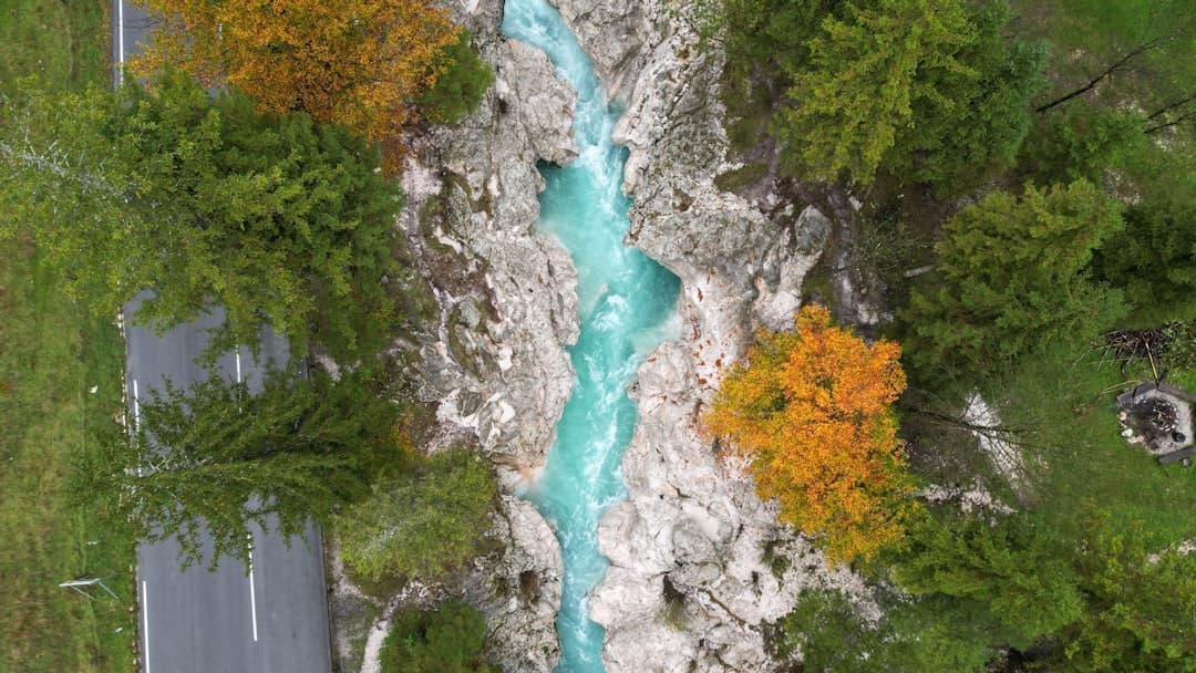 Soca River, image 1 of 1