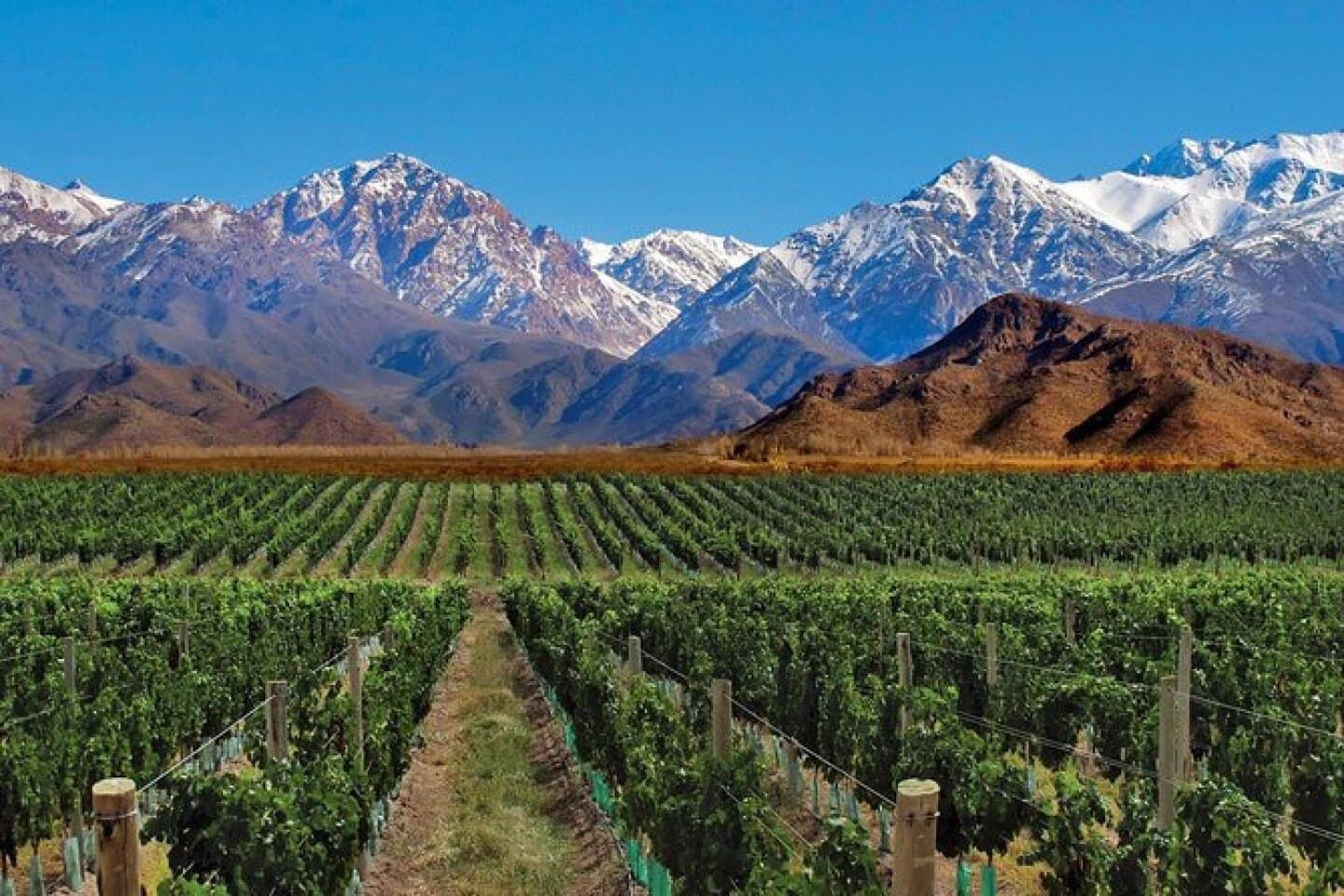 Mendoza, image 1 of 1