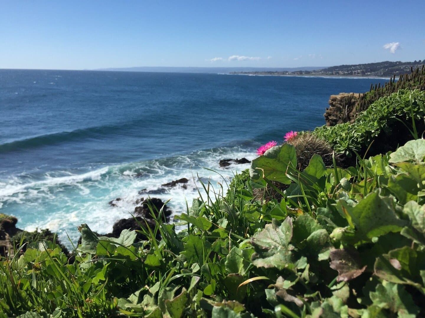 Punta de Lobos, image 1 of 1