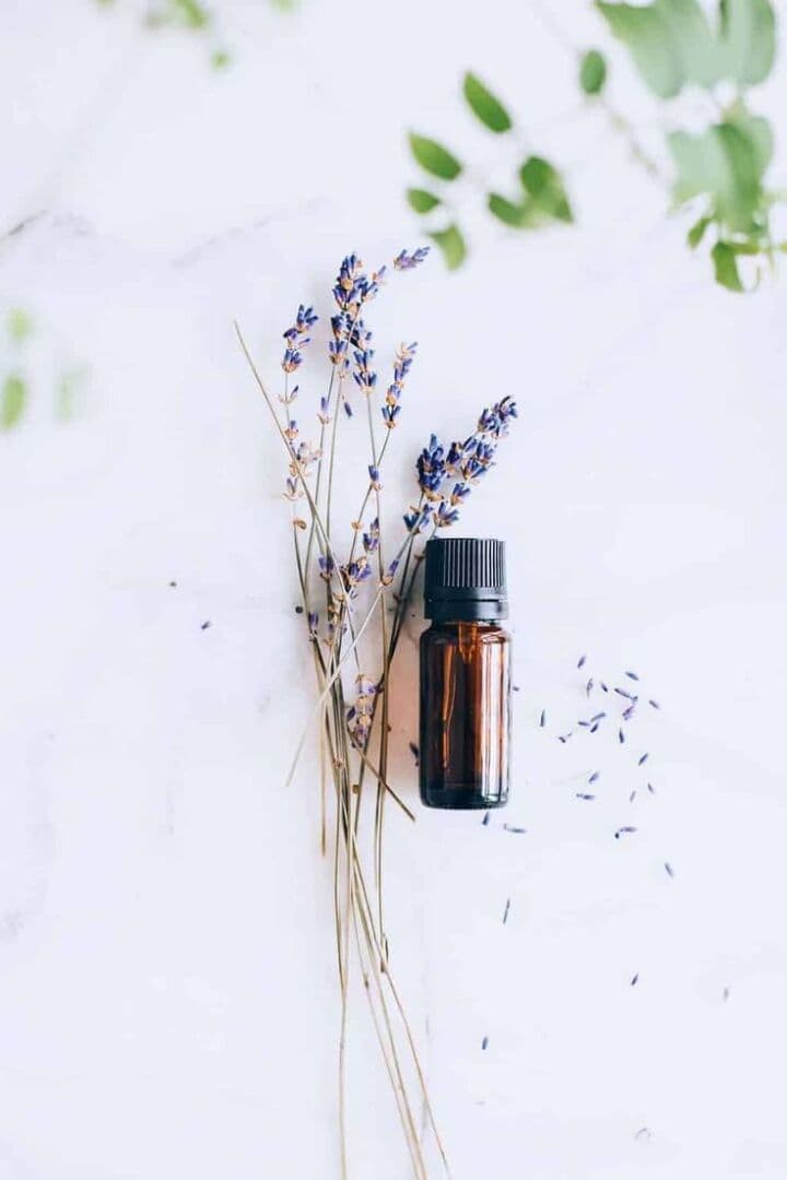 Lavender, image 1 of 1