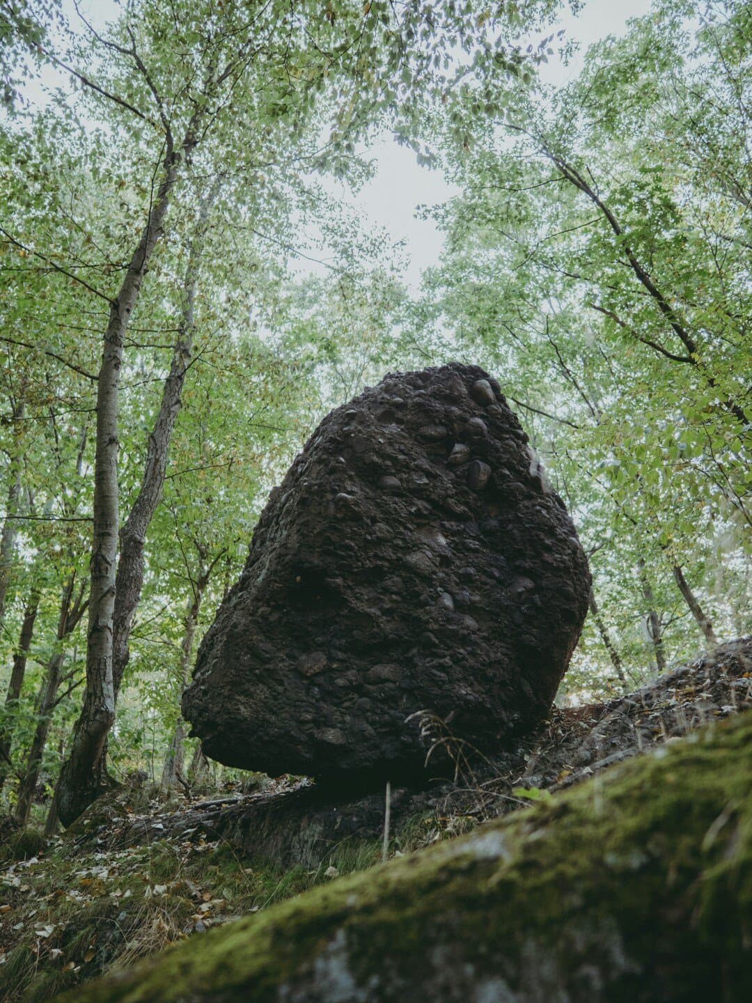 Roxbury, image 1 of 1