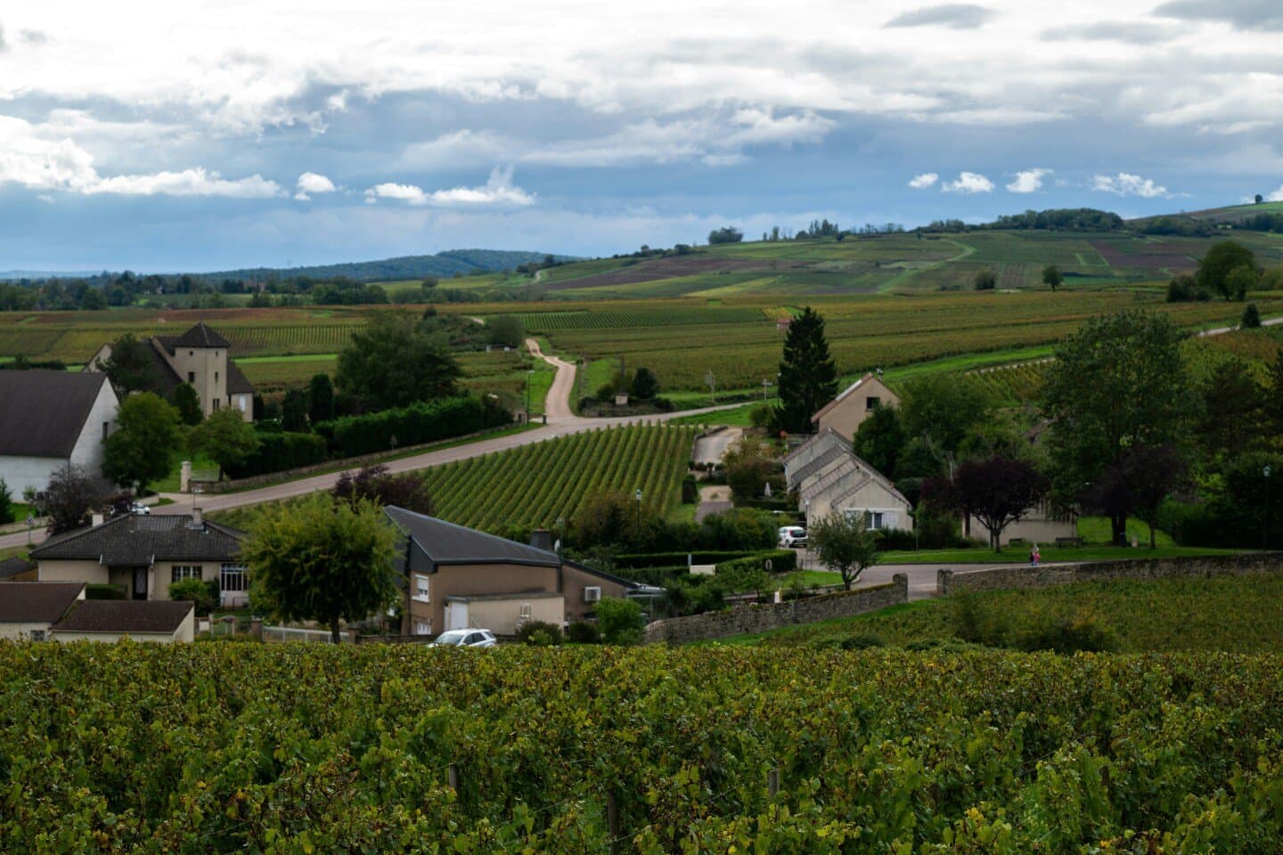Calamin Grand Cru, image 1 of 1