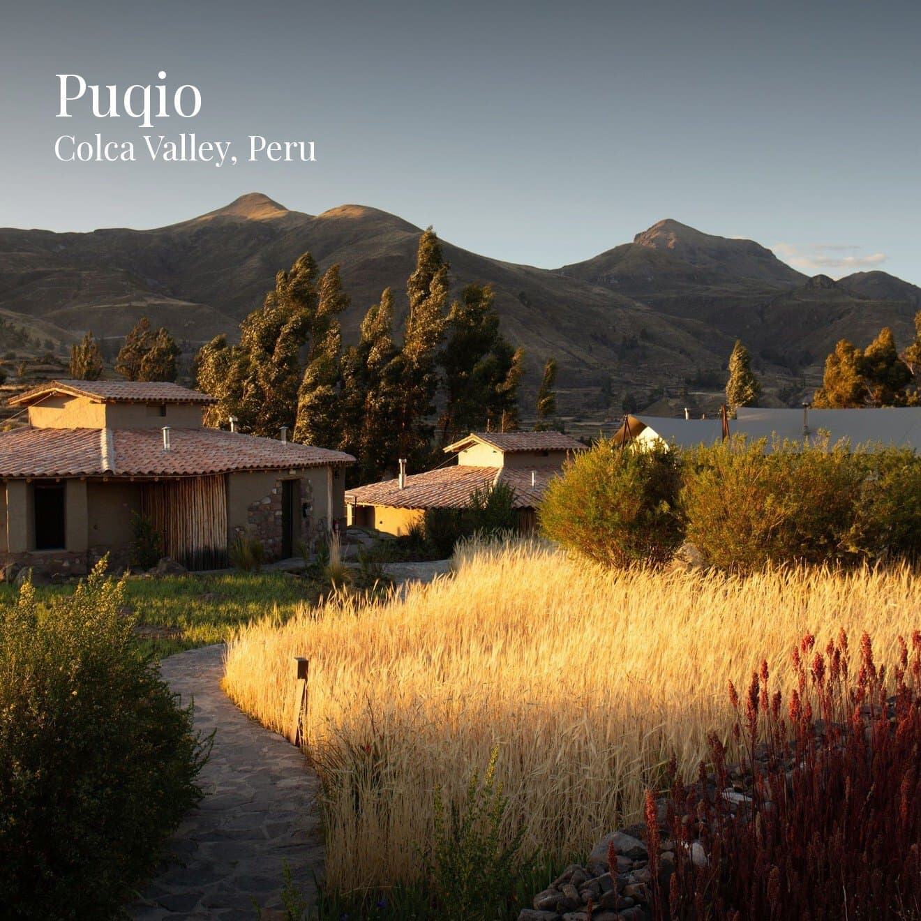 Puqio, image 1 of 1