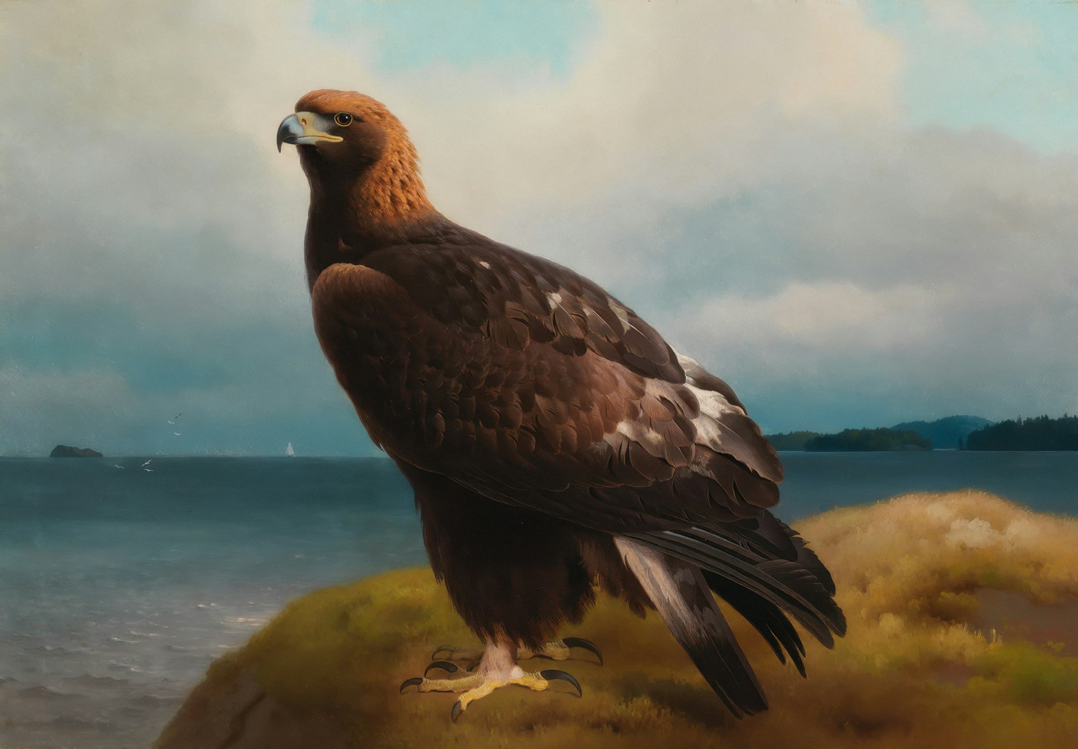 Eagle Rare 10 Year, image 1 of 1