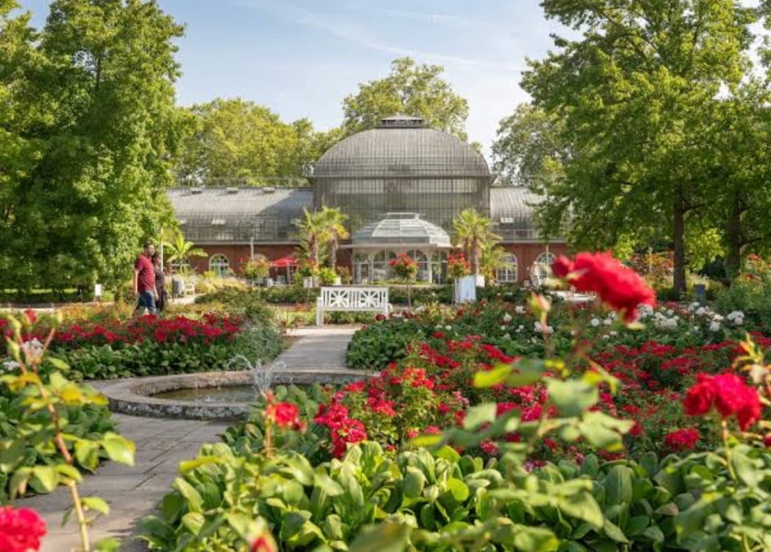 Palmengarten, image 1 of 1