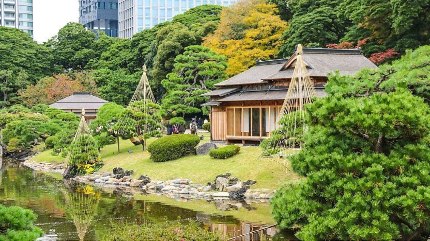 Jardins de Hamarikyu, image 1 of 1