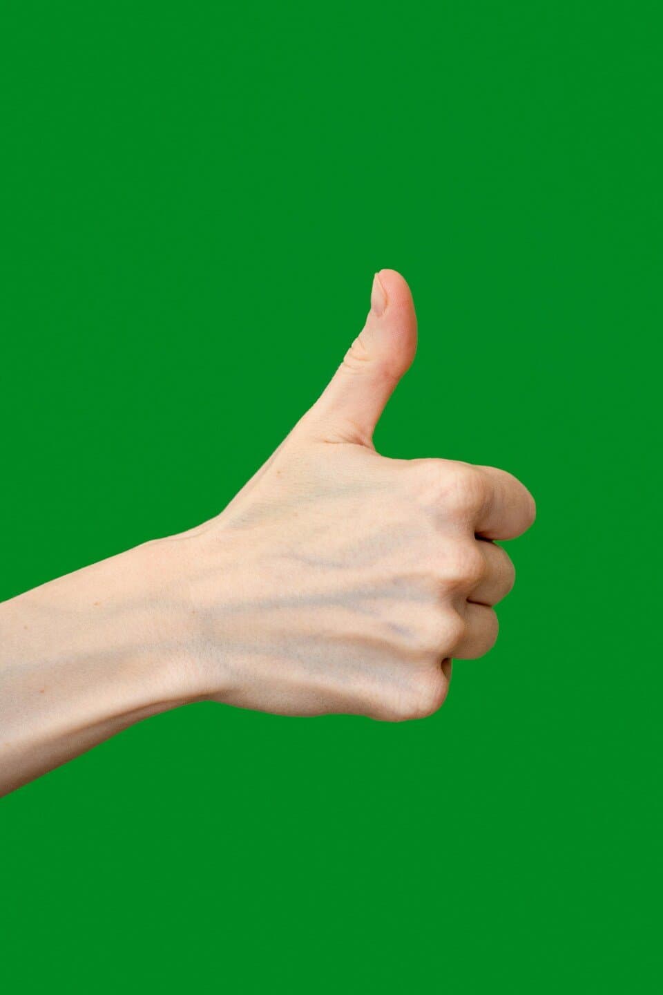 YES, image 1 of 1