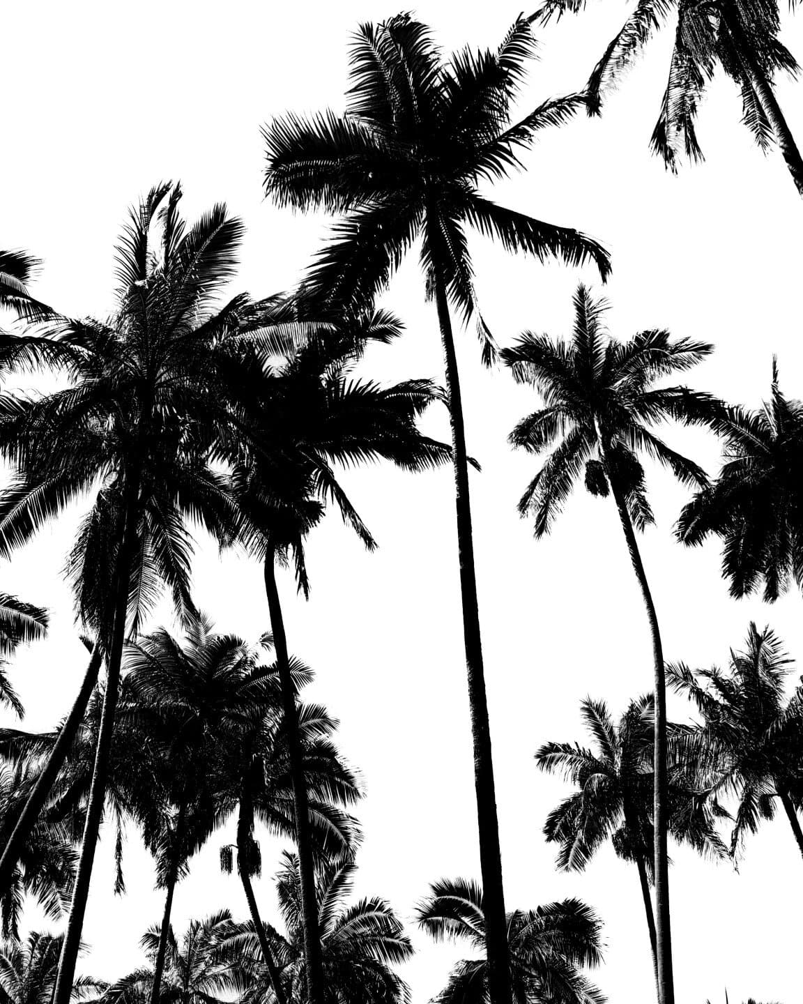 La Tropical, image 1 of 1