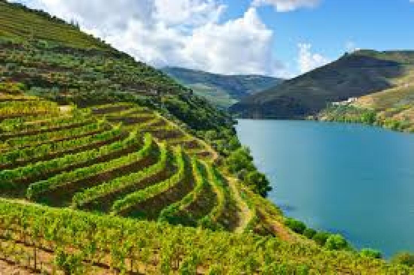 Douro Valley, image 1 of 1