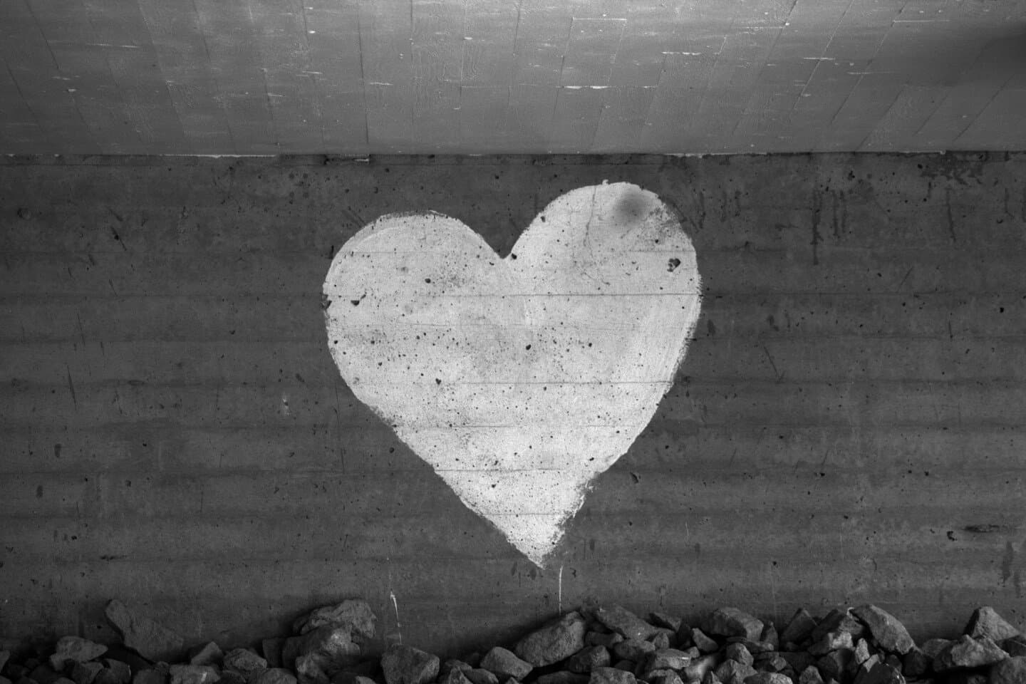 Canta Corazón, image 1 of 1