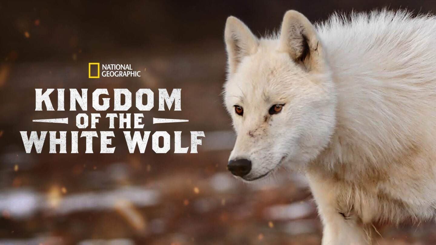 Kingdom of the White Wolf, image 1 of 1