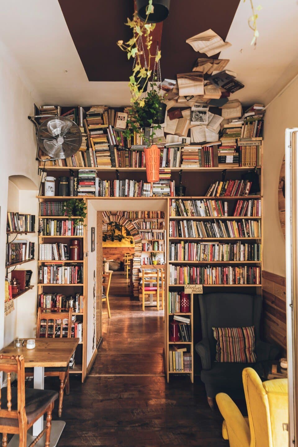 Fiction Bar/Cafe, image 1 of 1