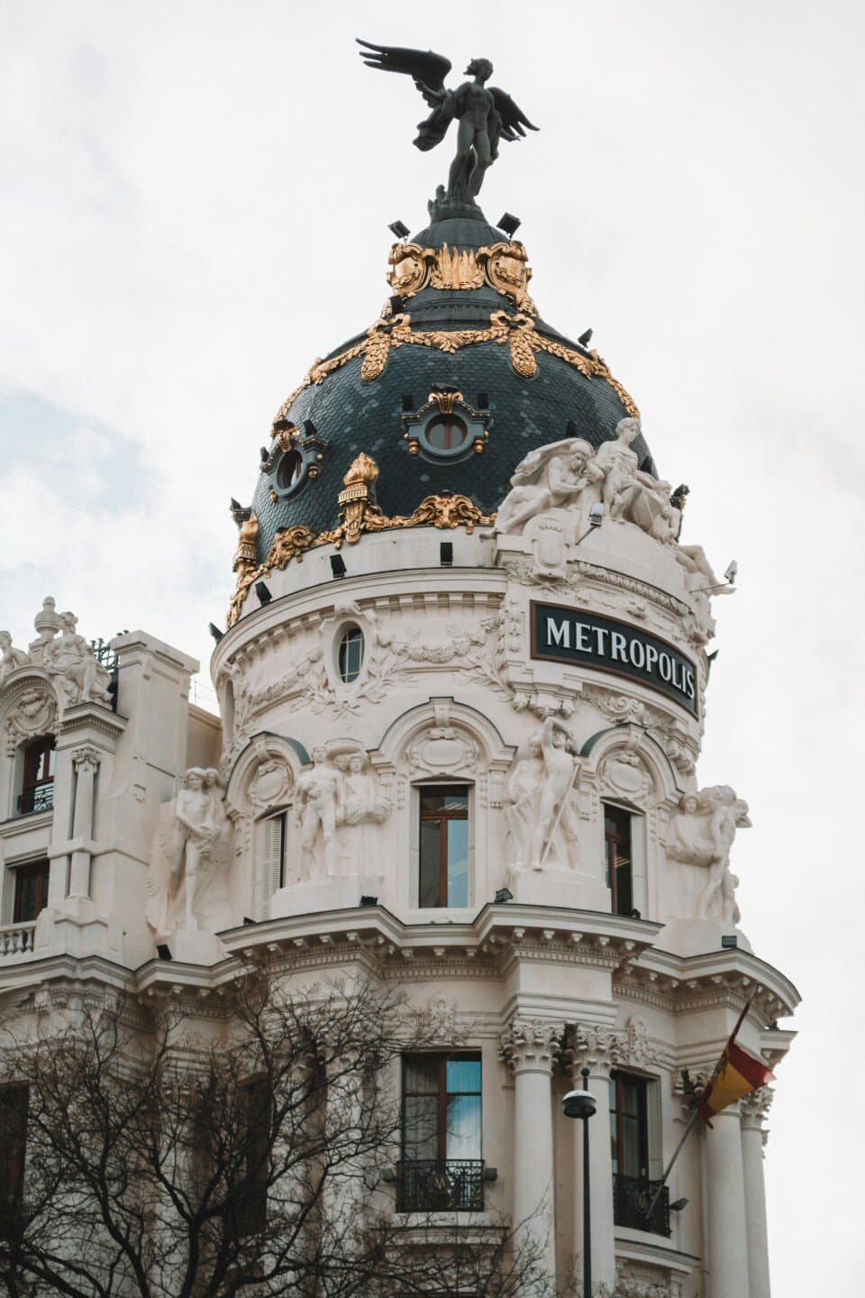 Galería Silvestre, image 1 of 1