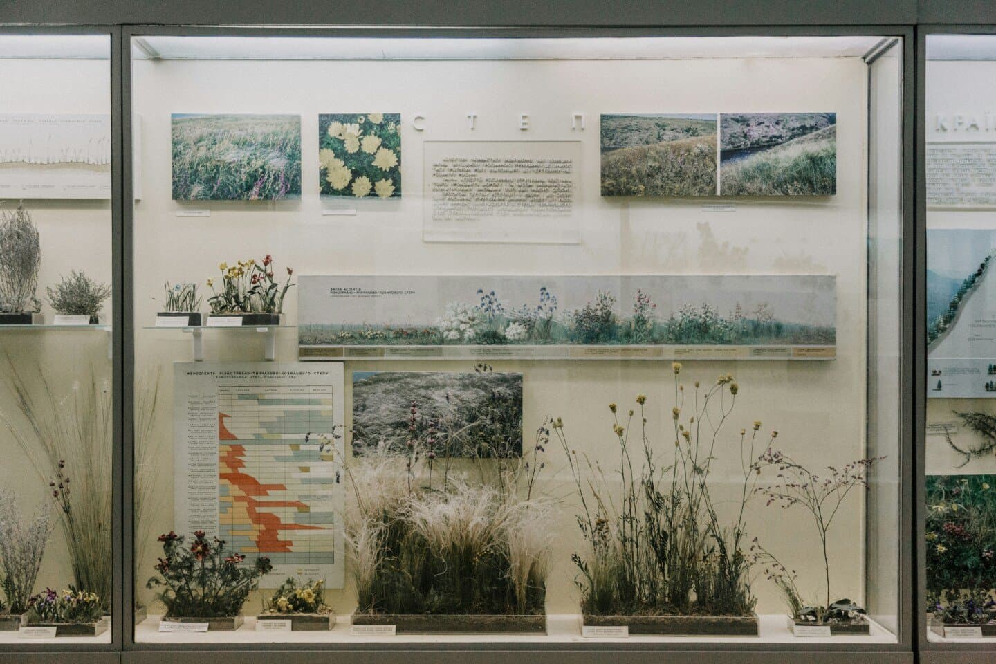 Emerson Dorsch Gallery, image 1 of 1