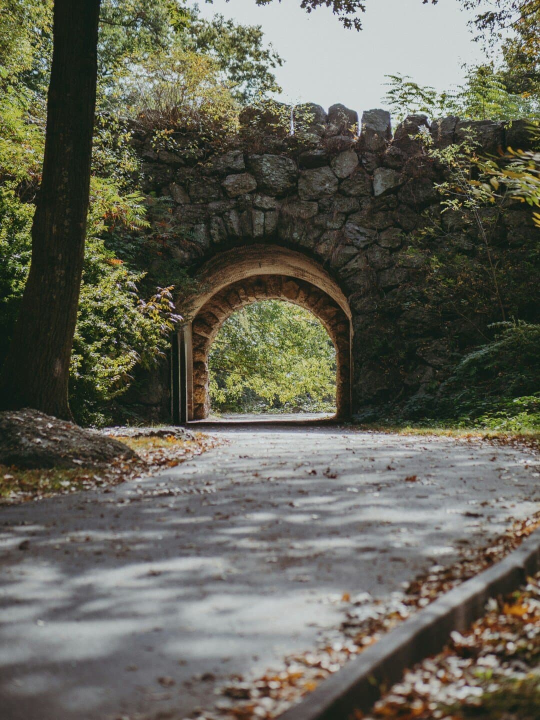 Jamaica Pond, image 1 of 1