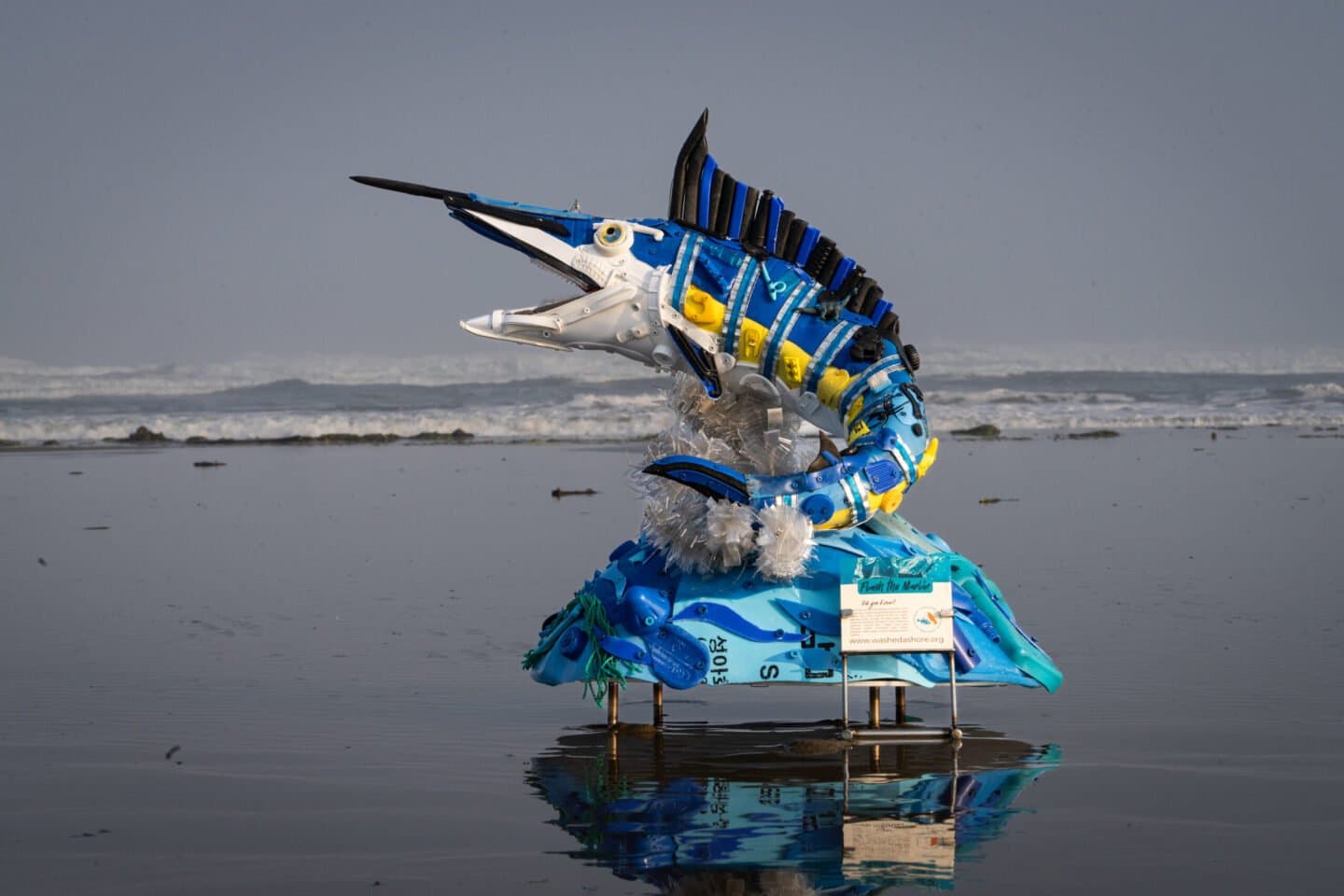 Washed Ashore Gallery, image 1 of 1