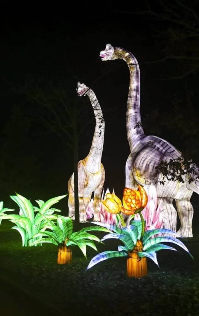 Le Bal des Dinosaures, image 1 of 1