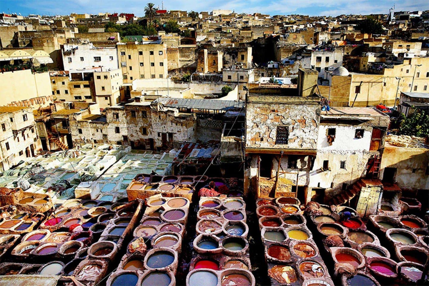 Visit the Fez Tanneries, image 1 of 1