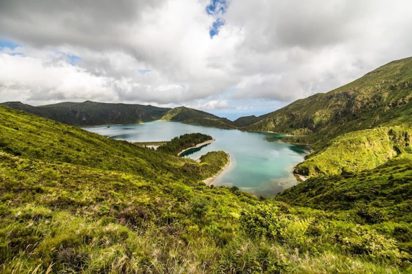 New Zealand, image 1 of 1