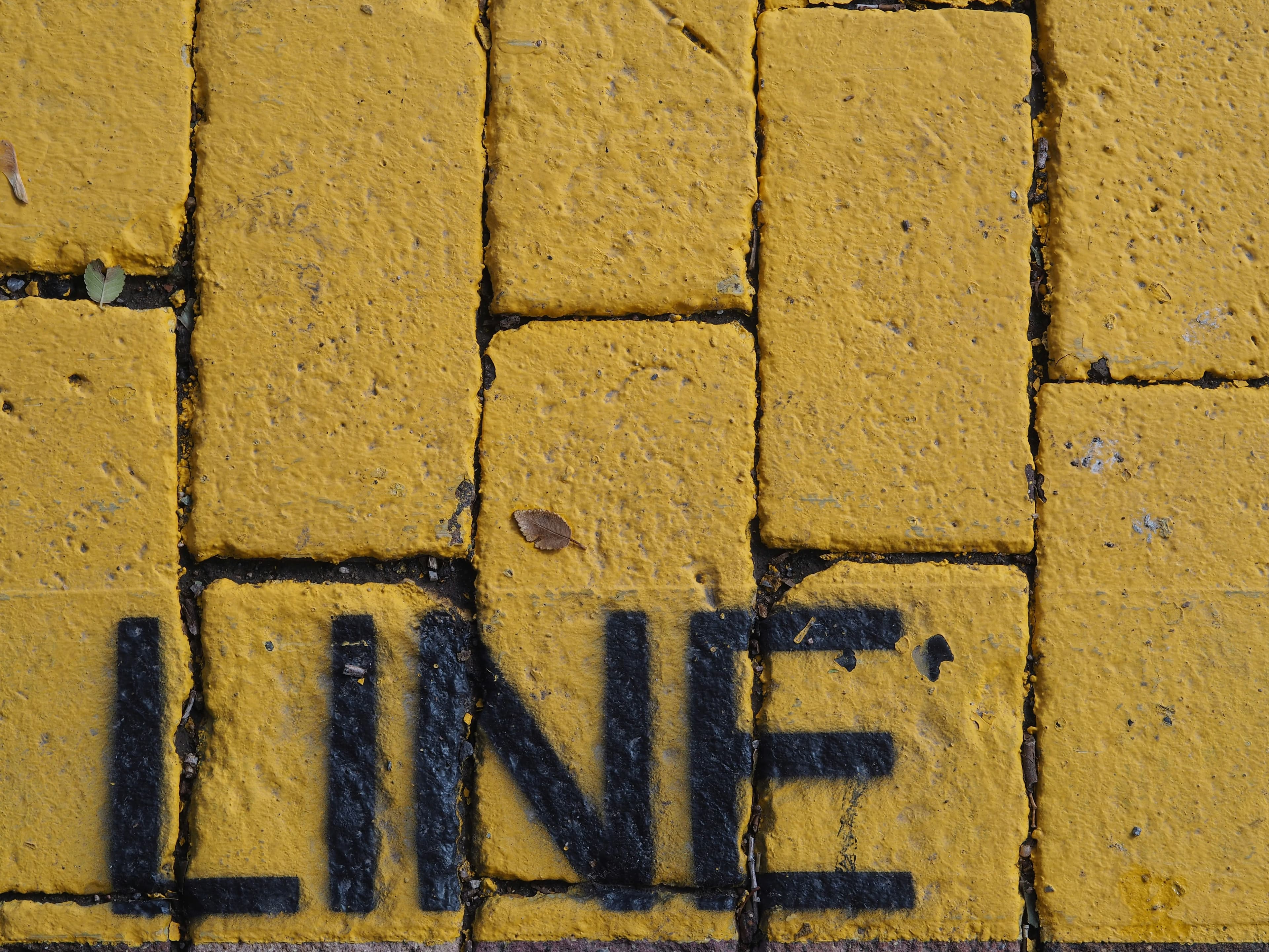 Line of Duty, image 1 of 1