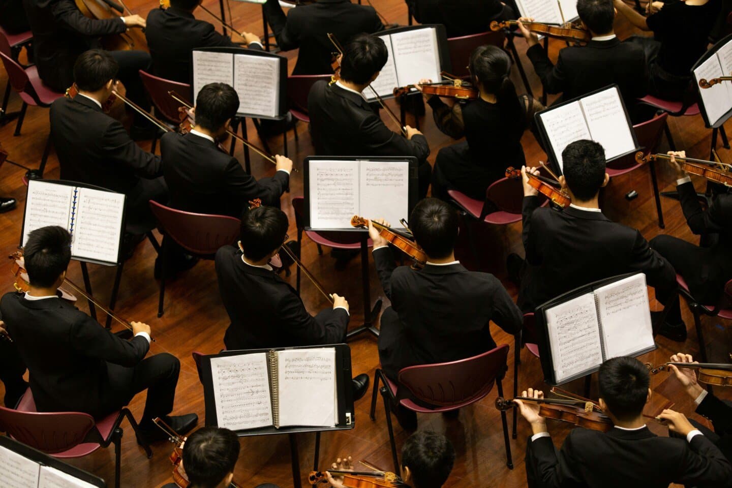 Evaluation of Sound Exposure and Risk of Hearing Impairment in Orchestral Musicians, image 1 of 1