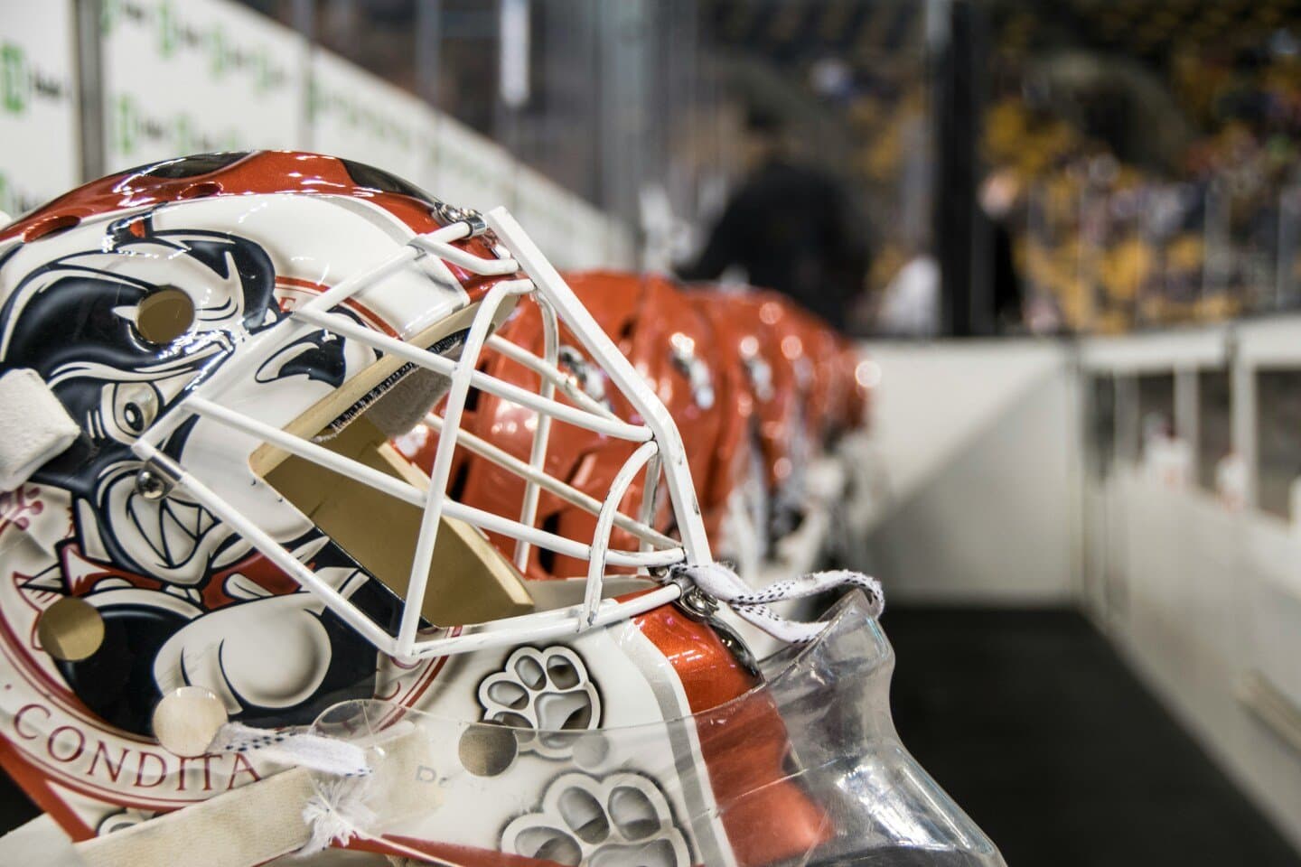 Warrior Ice Arena, image 1 of 1