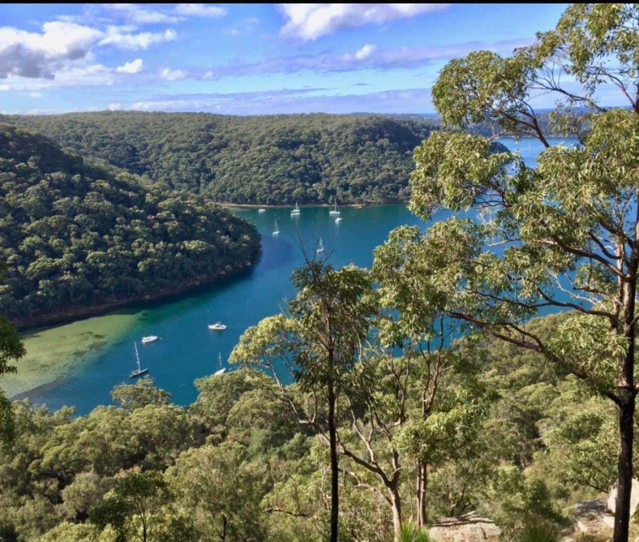 Parque Nacional Ku-ring-gai Chase, image 1 of 1