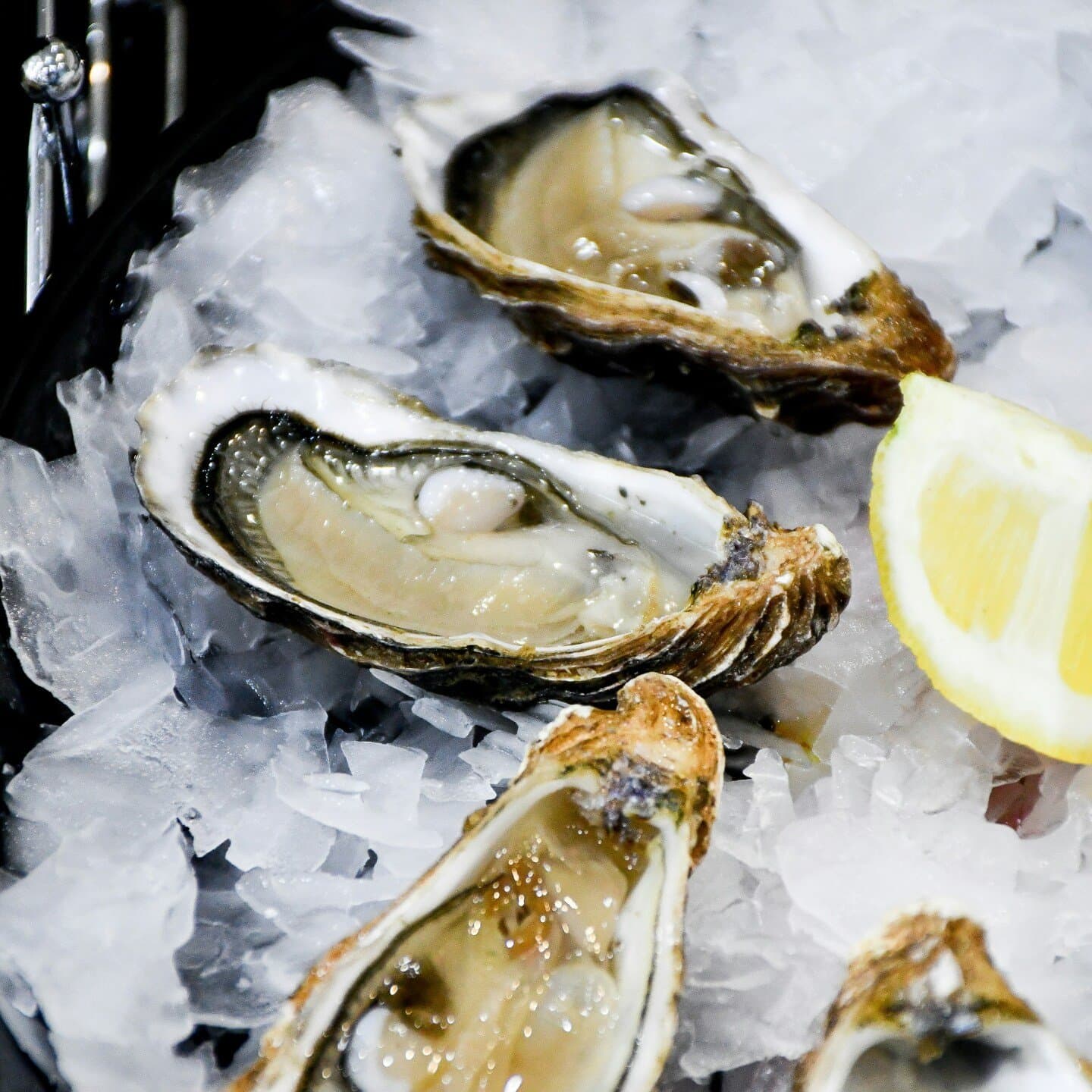 Neptune Oyster, image 1 of 1