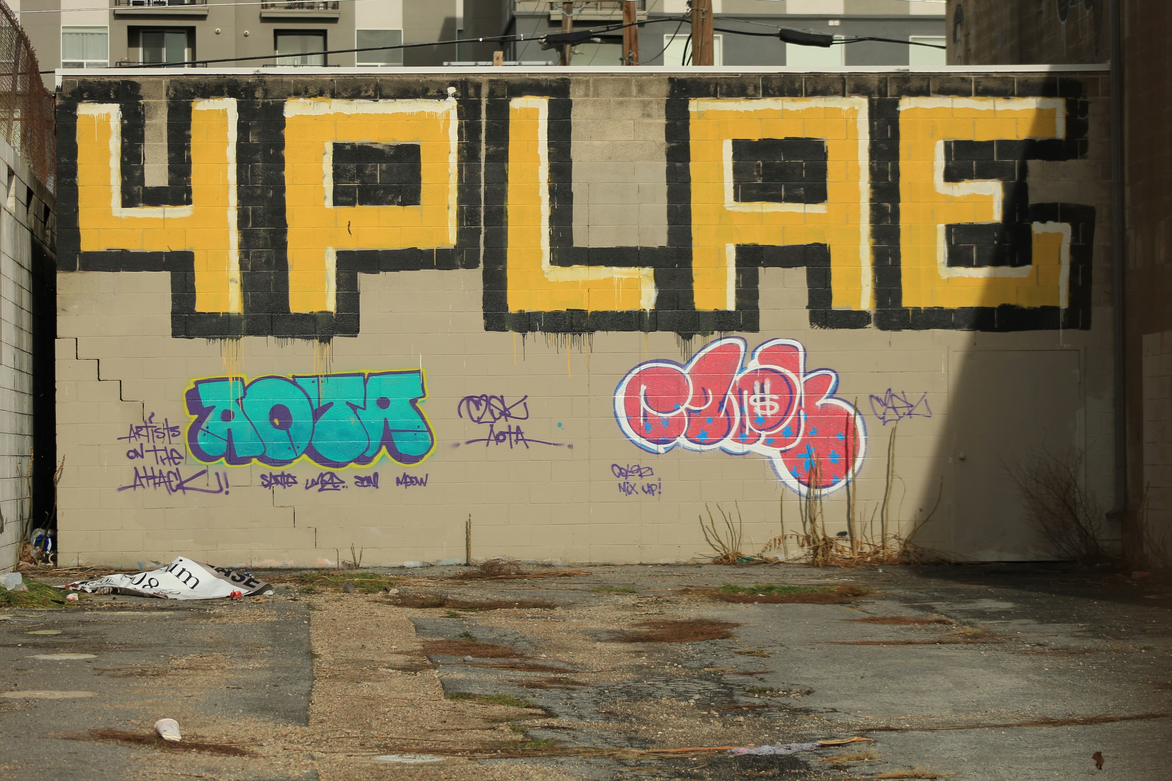 Yelp, image 1 of 1