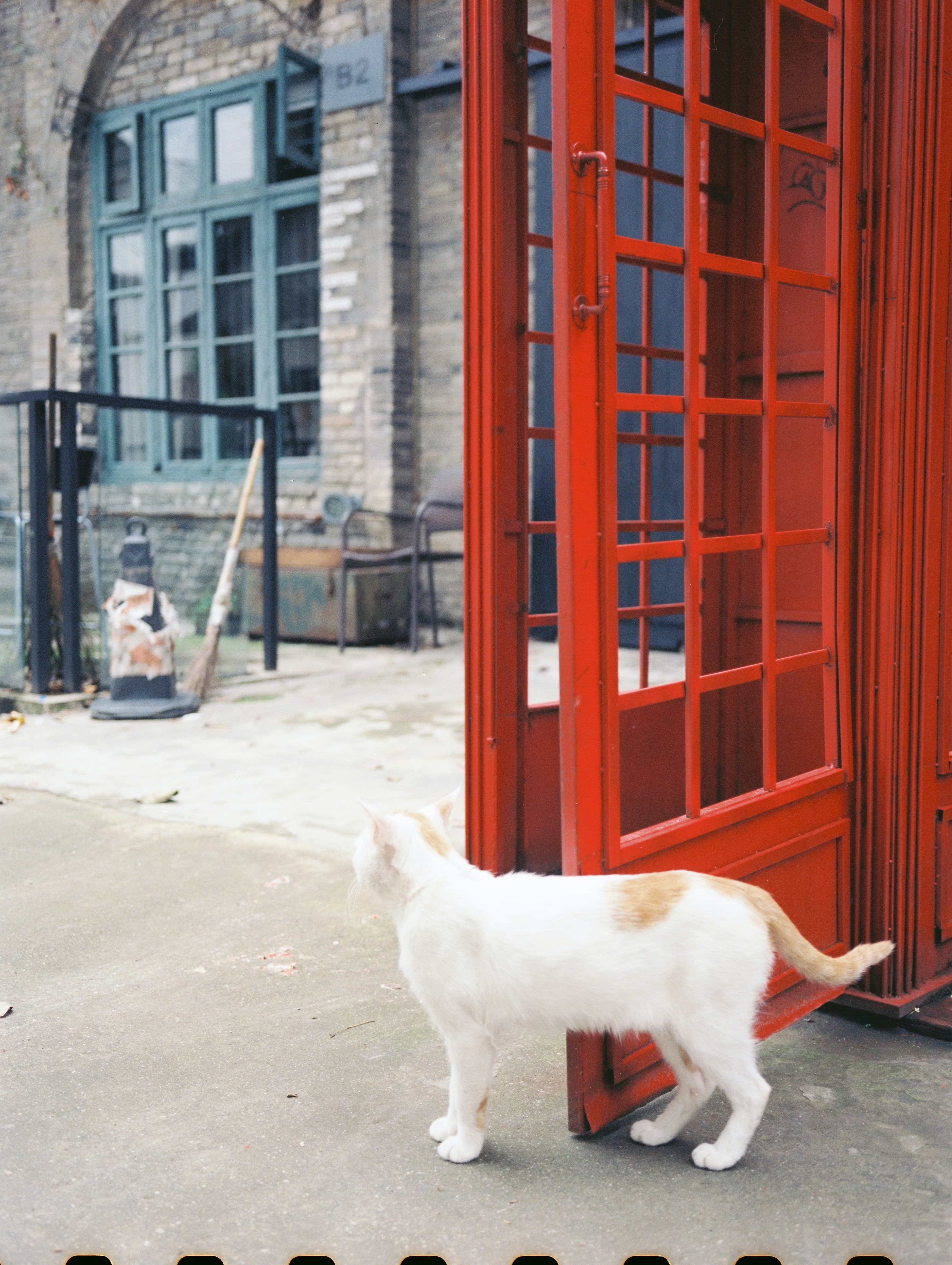Milkman by Anna Burns, image 1 of 1