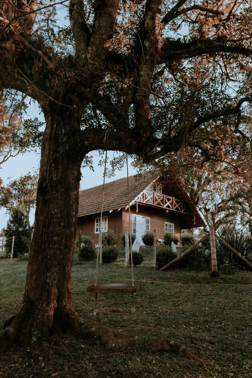 Casa da Árvore, image 1 of 1