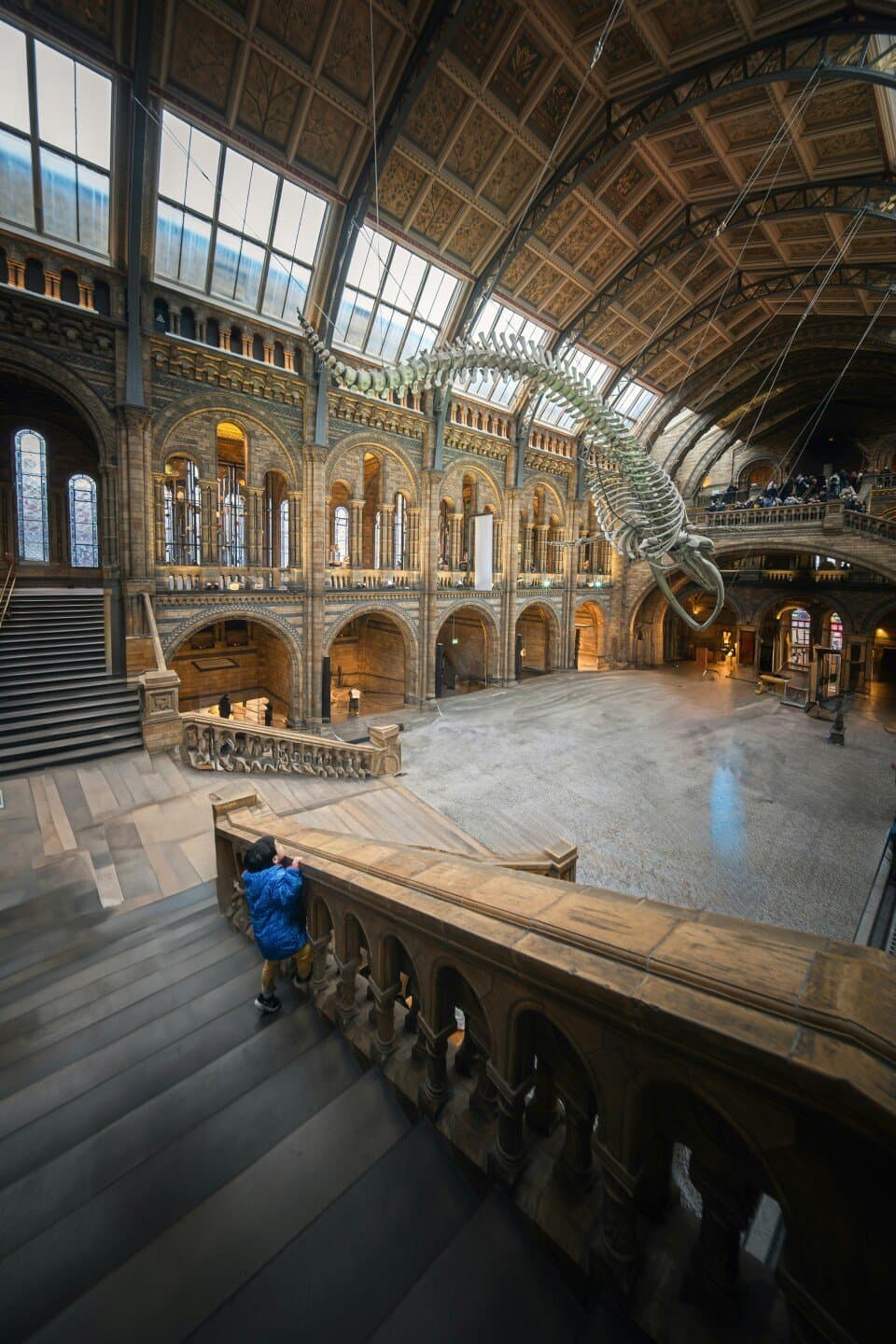 American Museum of Natural History, image 1 of 1