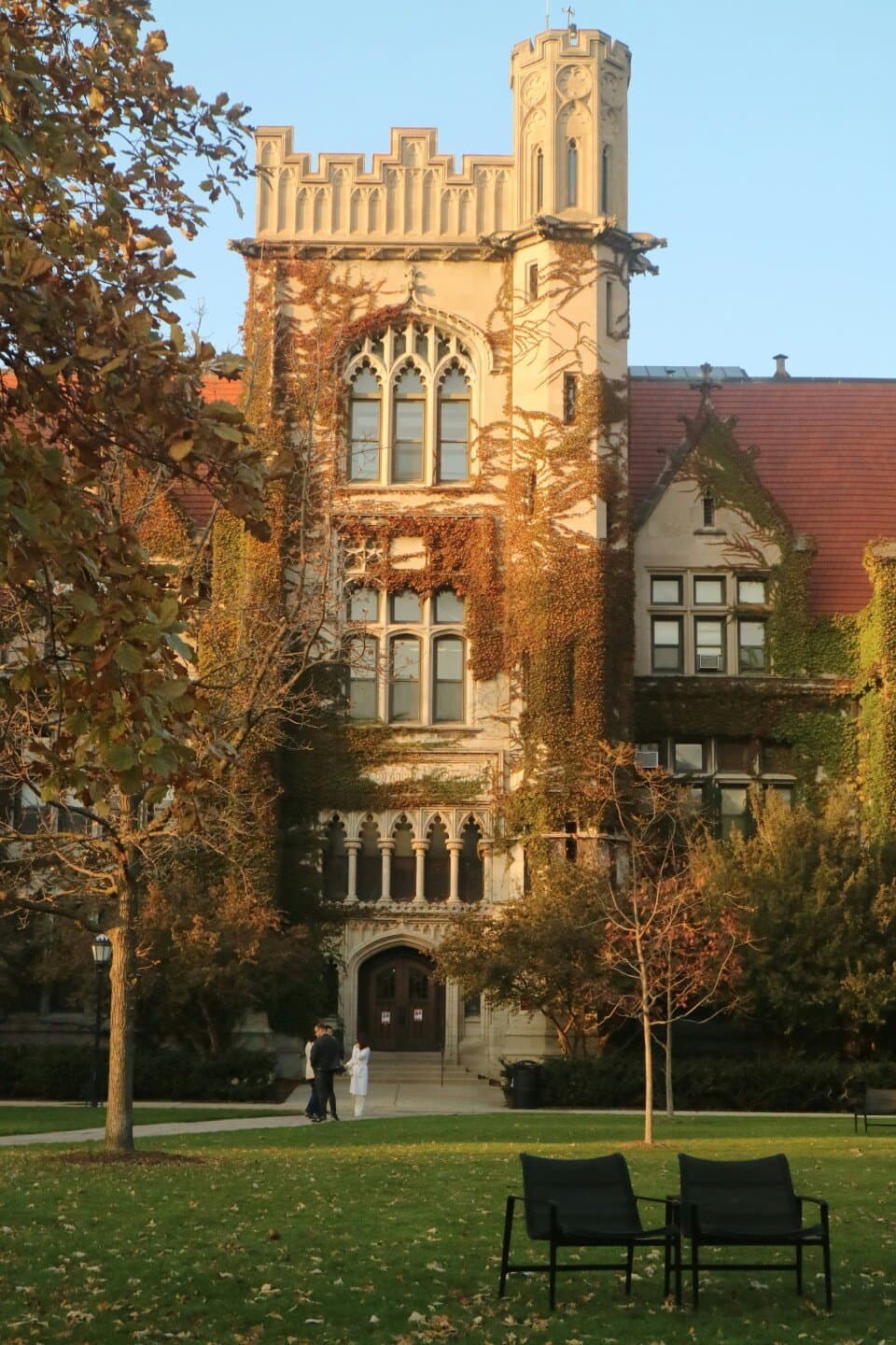 The Chicago School and the Foreclosure of Democratic Deliberation, image 1 of 1