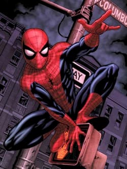 Spider Man, image 1 of 1
