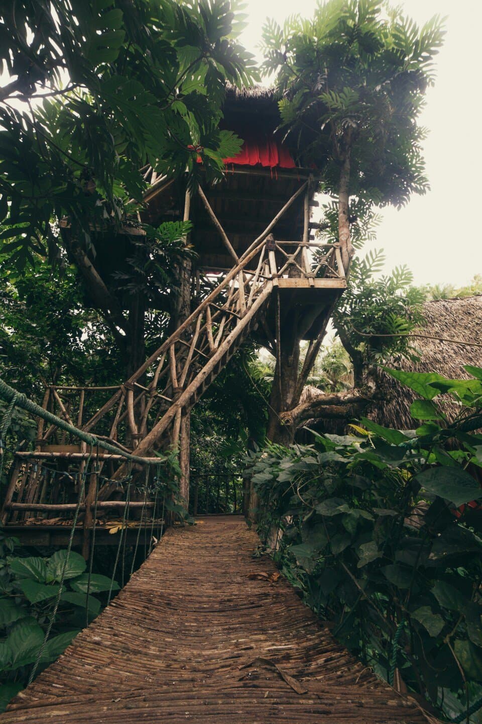 Casa da Árvore Tijuca, image 1 of 1