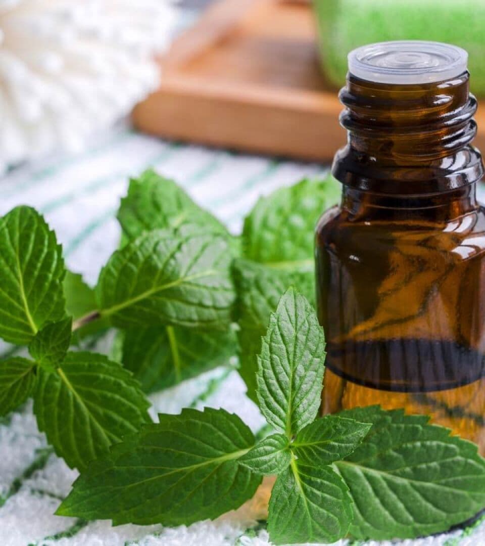 Peppermint, image 1 of 1