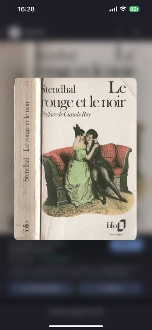 Le Rouge et le Noir, image 1 of 1