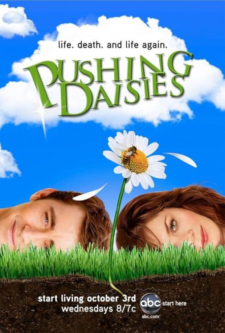 Pushing Daisies, image 1 of 1