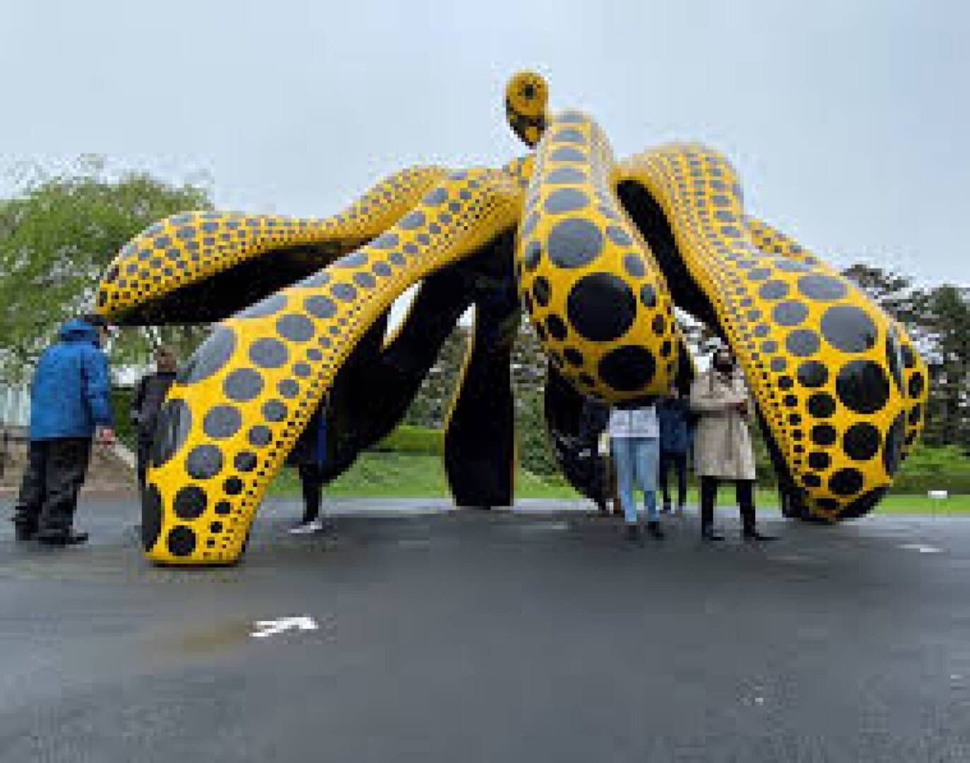 Yayoi Kusama: Cosmic Dots, image 1 of 1