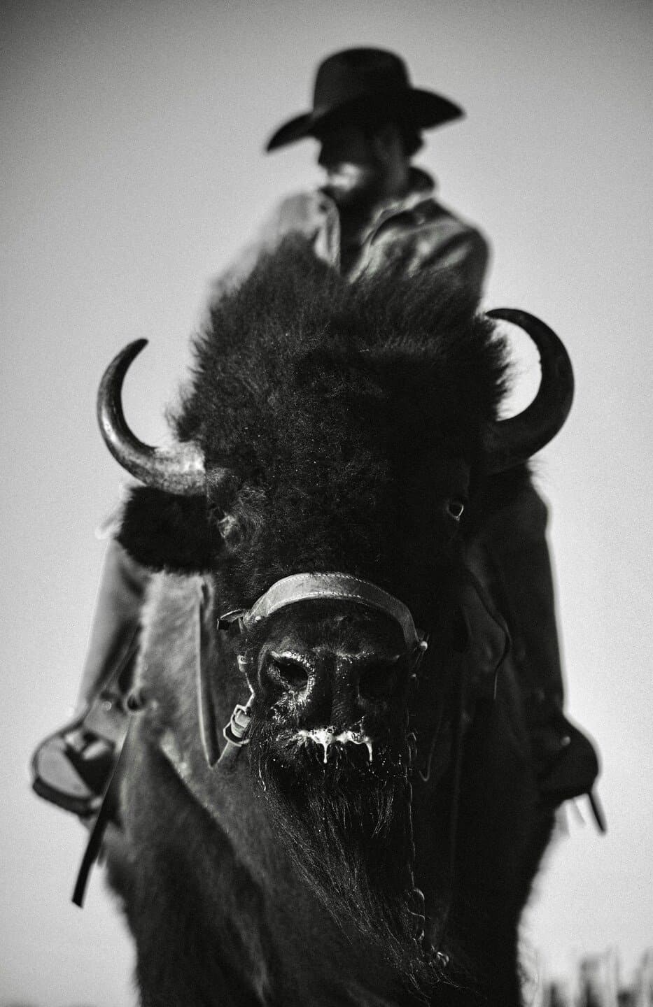 Buffalo Trace, image 1 of 1