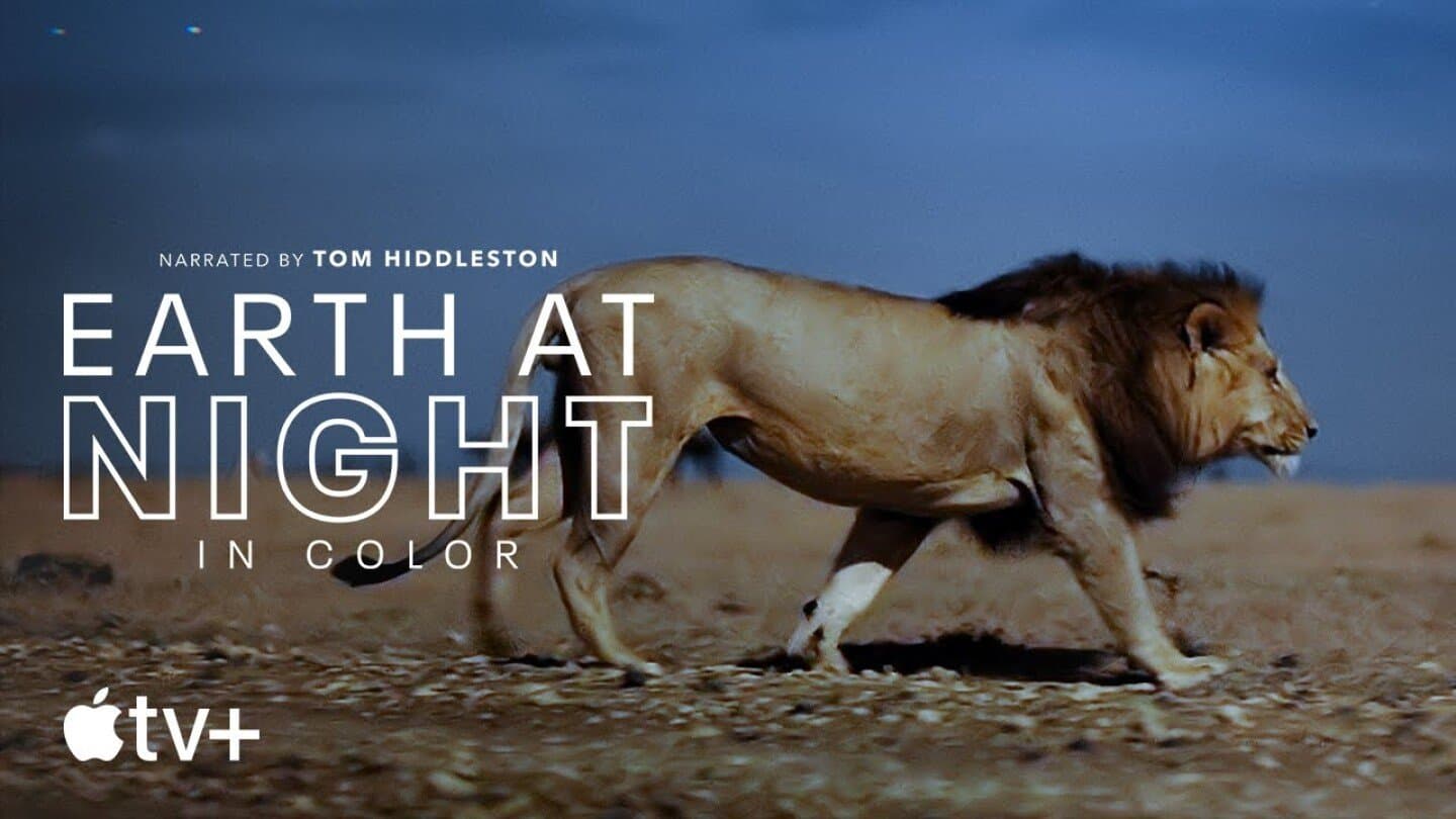 Earth at Night in Color, image 1 of 1