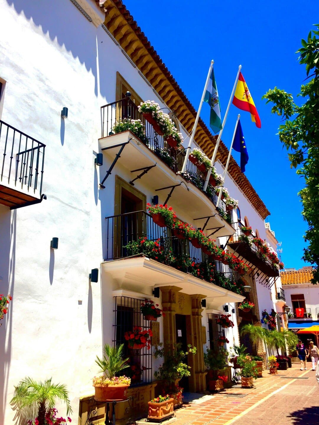 Marbella, un golpe de cinco estrellas, image 1 of 1