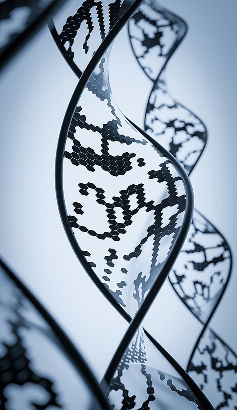 The Sequence of the Human Genome (Venter et al., 2001), image 1 of 1