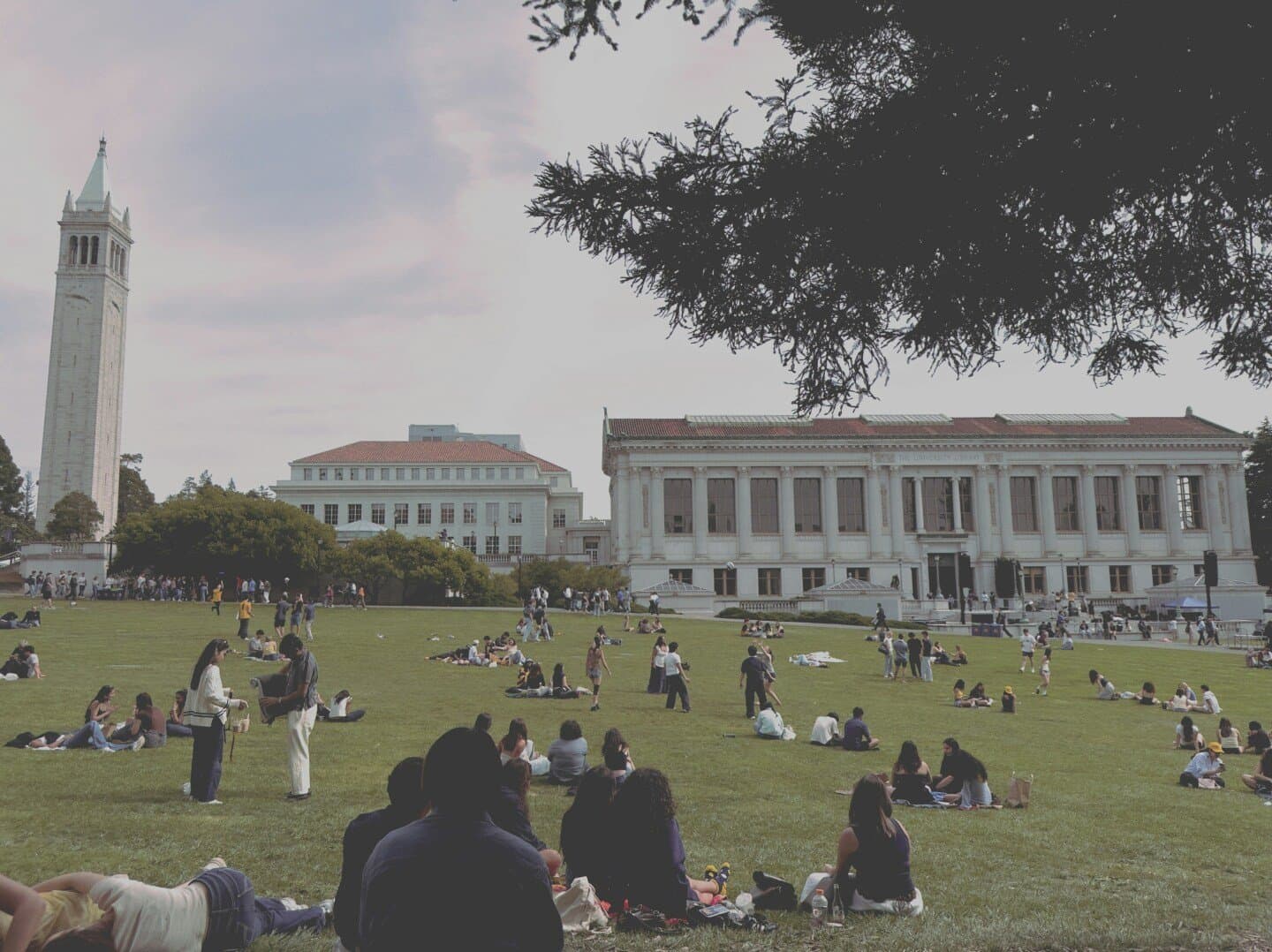 Berkeley Library, image 1 of 1