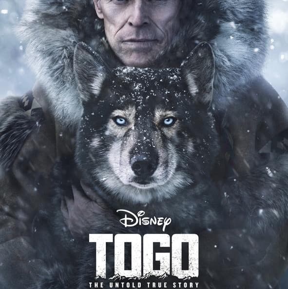 Togo - Disney, image 1 of 1